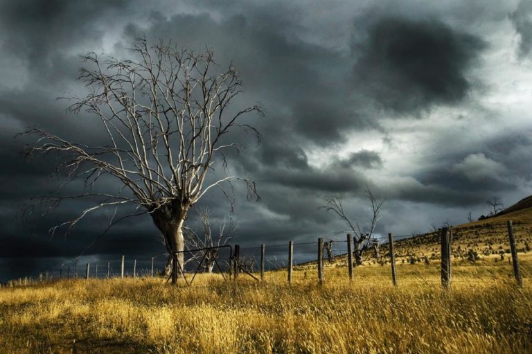Radarów używa się w meteorologii od dawna