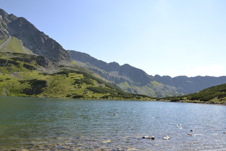 Domki zakopane - odkryj piękno polskich gór