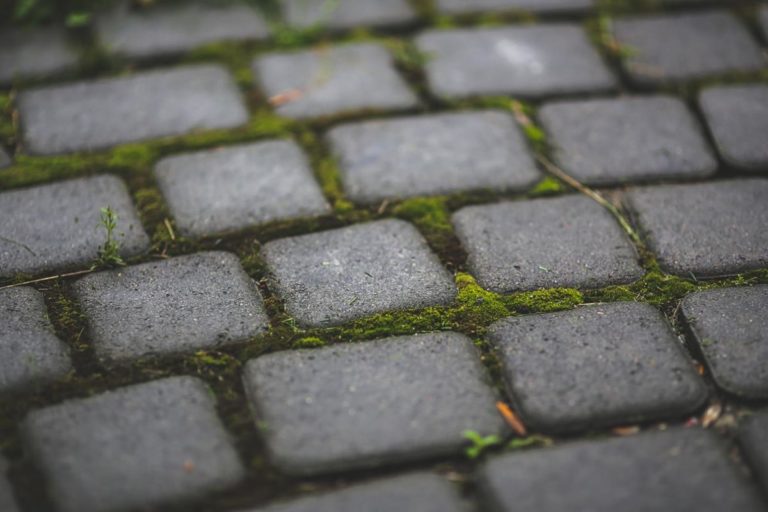 Jak układać kostkę betonową, by była trwała i estetyczna?